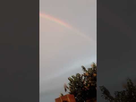 जैसी करनी वैसी भरनी#shortvideo