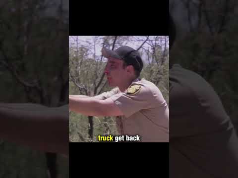 7 Mummies Prison Escape Scene