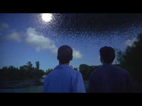 Quantum Apocalypse'