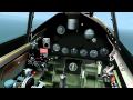 Wildcat Preview Video