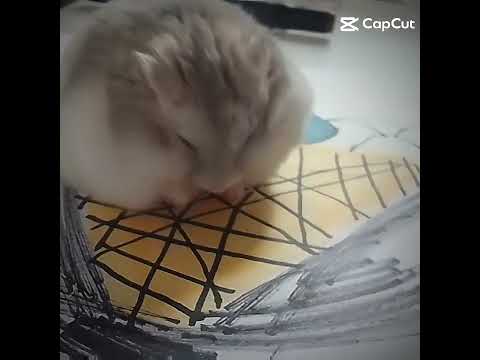 omg he is so 🥰 cut~cloudy~