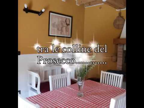 Video realizado por la propiedad