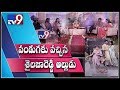 Shailaja Reddy Alludu team on Movie Highlights