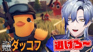 【ダッコフ】神ゲー遊んでみる♪｜エスケープ フロム ダッコフ｜ゲーム実況｜【ミラン・ケストレル/にじさんじ】