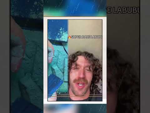 It’s gotta be a 1 of 1 🤯🤯🤯🤯 #fyp #labubu #labubus #rare  #funny #fyp