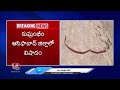 Four Young Man Drown In A Pond In Asifabad | V6News  - 01:23 min - News - Video