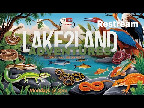 L2L Adventures - Ep.9- Turn your videos into live streams with https_//restream.io