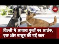 Dog Attack: Delhi के Tughlaq Road इलाके में आवारा कुत्तों ने ली मासूम की जान