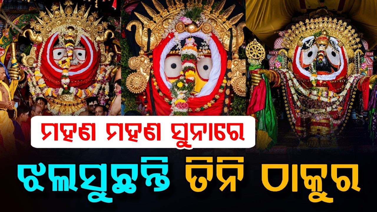 ଝଲସୁଛନ୍ତି ତିନି ଠାକୁର | Suna Besha 2026 | Suna Besa | Rath Yatra 2026 | Rath Jatra | Jay Jagannath
