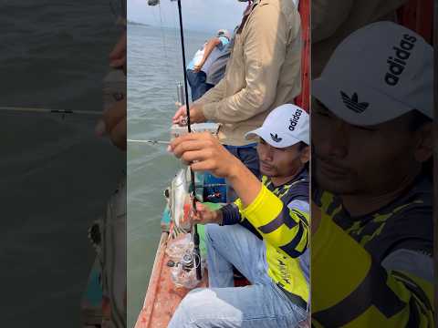 Small fish 🐠 #fishing #shortvideo #trending #viralvideo #reels #cooking #food