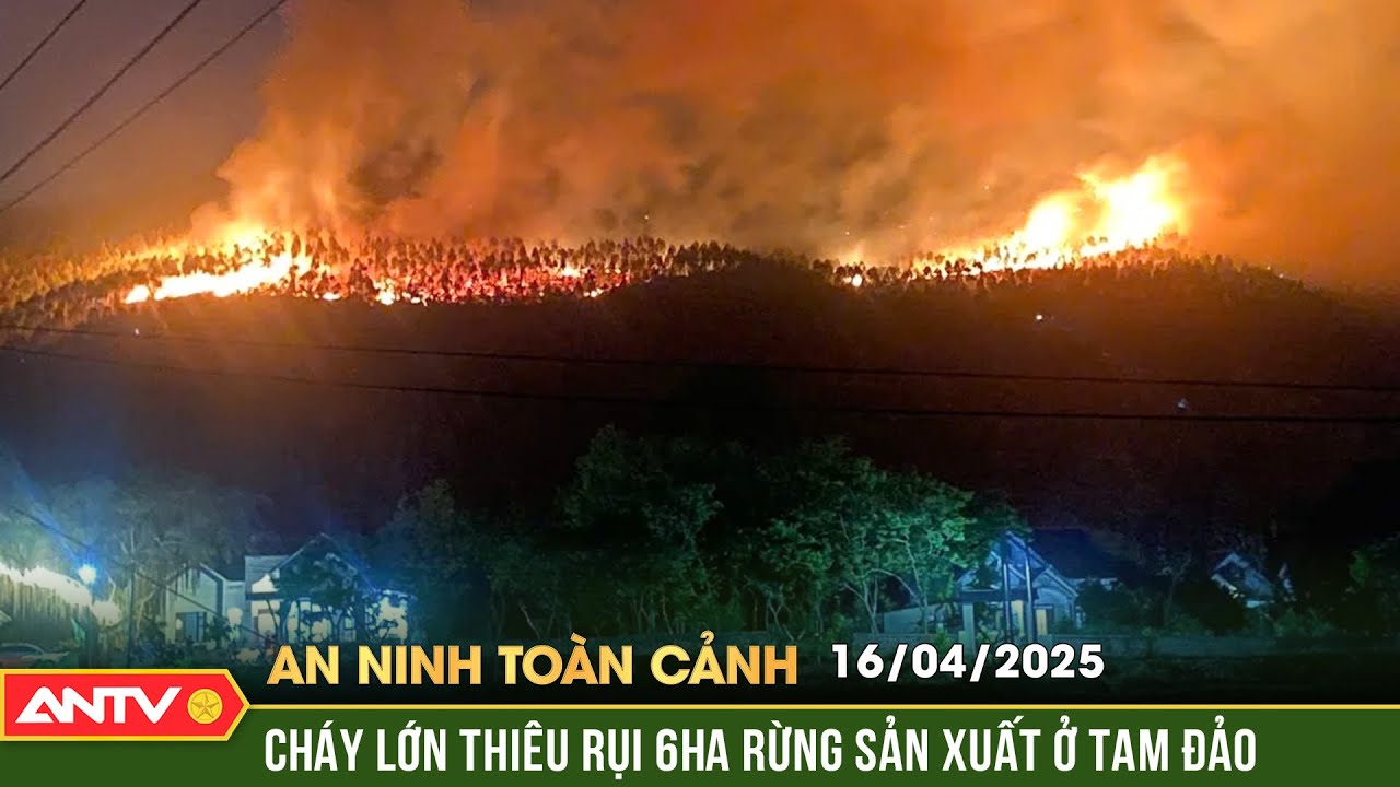 6ha rừng sản xuất ở Vĩnh Phúc cháy ngùn ngụt trong đêm | An ninh toàn cảnh ngày 16/4 | ANTV