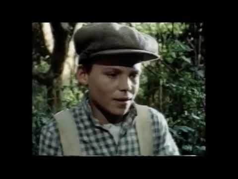Return to the Lost World'