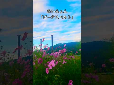 道端にある綺麗な秋桜を見てます。この動画を見ながらあいみょんさんの「ビーナスベルト」を聴いてください。#コスモス #秋桜 #あいみょん #ビーナスベルト#新曲 #幸田町 #愛知県