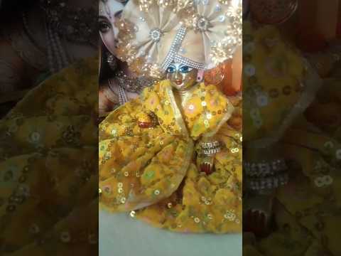 कार्तिक मास के भ्रम मूरत के दर्शन