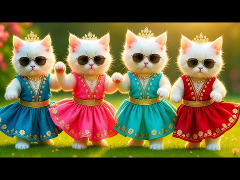 "Meowdians of the Dance Floor" 😹🔥 😹#catdance #catvideo #aicat #cutecat #catbaby #cartoon #catstory 
