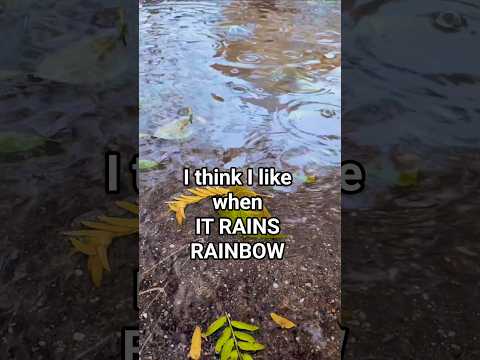 I ❤️ rain and  🌈 #nature #naturelovers #rainbow #rain #autumn #halloween #fall #goodvibes #shorts