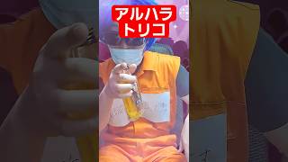 アカシアに勝てないので酒で吐かせようとするトリコ