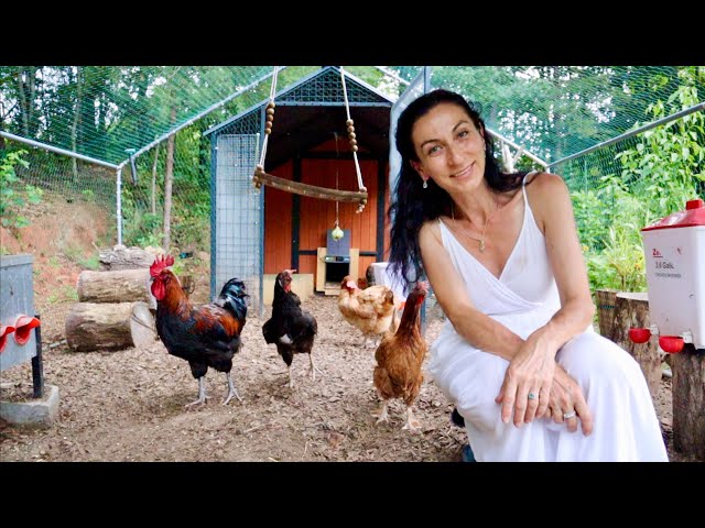 Пеку Хлеб на Ланч | Забираем Нового Петушка  🐓 | Идея Хорошего Бизнеса | Семейный Влог | Эгине
