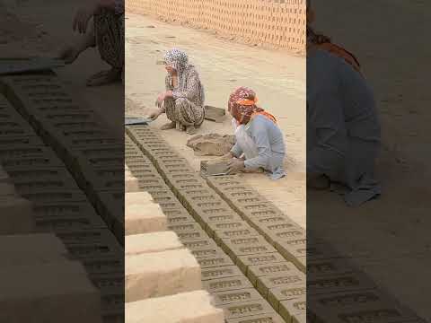 #dance #sadabahaarnagme #indiansong #song #sadabaharnagme #hindisong #jhankarhits