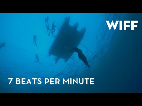 7 Beats Per Minute'