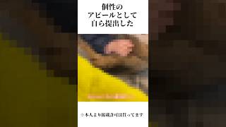 『○○年留年系女子高生VTuber』柑月ゆのについての雑学 3  #新人Vtuber #推してください