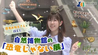 【CHALLENGE IBARAKI】#74　「魅力は恐竜だけじゃないっ恐竜おねえさんと行く！自然博物館の”恐竜じゃない展”」