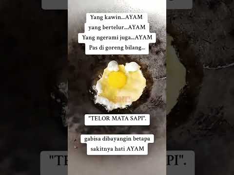 GIMANA YA PERASA'AN SI AYAM #videolucu #video #funny #funnyvideo