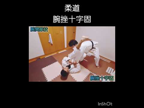 【柔道関節技】腕挫十字固🥋#judo #shorts