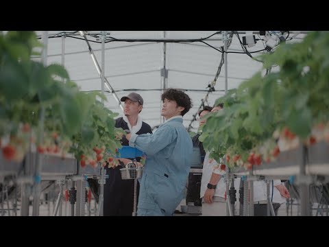 NTT東日本グループCM「つぎのイノベーション」アグリ篇(30秒)