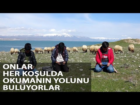 Hem Çobanlık Yapıyorlar Hem Ders Çalışıyorlar
