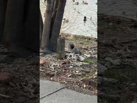 Looking his food💕😔#fyp