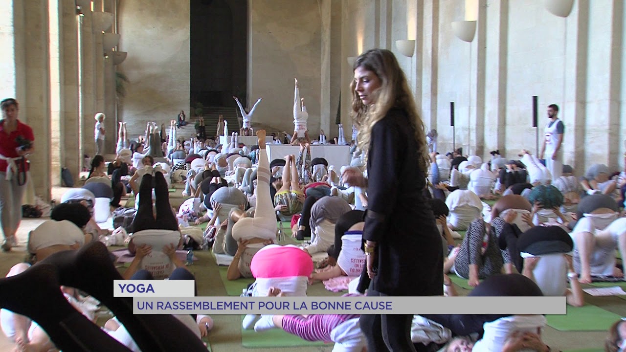 Insolite : un rassemblement de yoga pour la bonne cause
