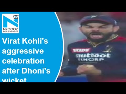 Virat Kohli's aggressive celebration after Dhoni's wicket goes viral, fans react