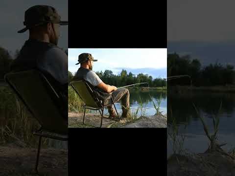 🔥 #fishingvideo #fishing #pets #trending 🔥