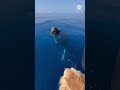 Golden retriever meets humpback whale off the coast of Hawaii