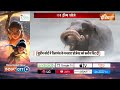Supreme Court Clean Chit To Vantara: सुप्रीम कोर्ट से क्लीन चिट मिलने पर टीम वनतारा का पहला रिएक्शन - 04:12 min - News - Video