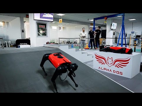 Çinli mühendisler dünyanın en hızlı köpek robotu AlphaDog’u geliştirdi