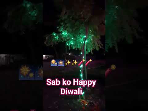 2O25 Sab logo ke liye happy diwali 🎆🎇🧨✨️✨️ #sorts #video