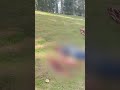 Pahalgam Terror Attack: Eyewitness Shares Recalls Horrifying Attack | #shorts #jammunews #pahalgam  - 00:36 min - News - Video