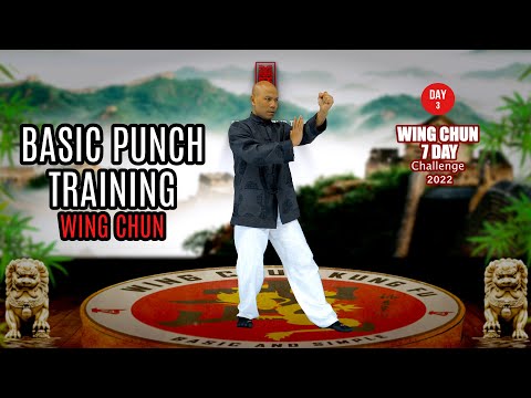Basic punch training in Wing Chun day 3
