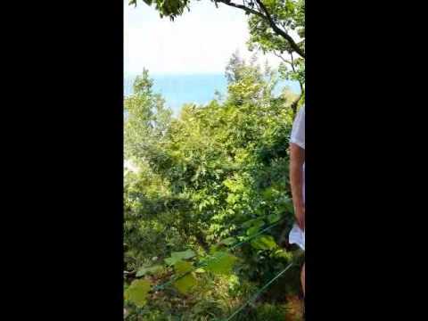 Vidéo de l’hébergement