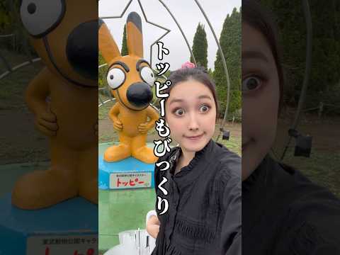 5年ぶりにハイキュー‼︎と東武動物公園コラボ行ってきたら、最高の推し活日になった！！！！