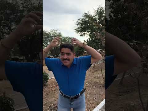 GOLINHA CORRETOR DE CARROS MANDA RECADO