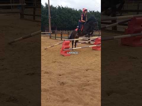 #horse #equestrianjourney #horsefan #equestrian #equestrianjumping #riding