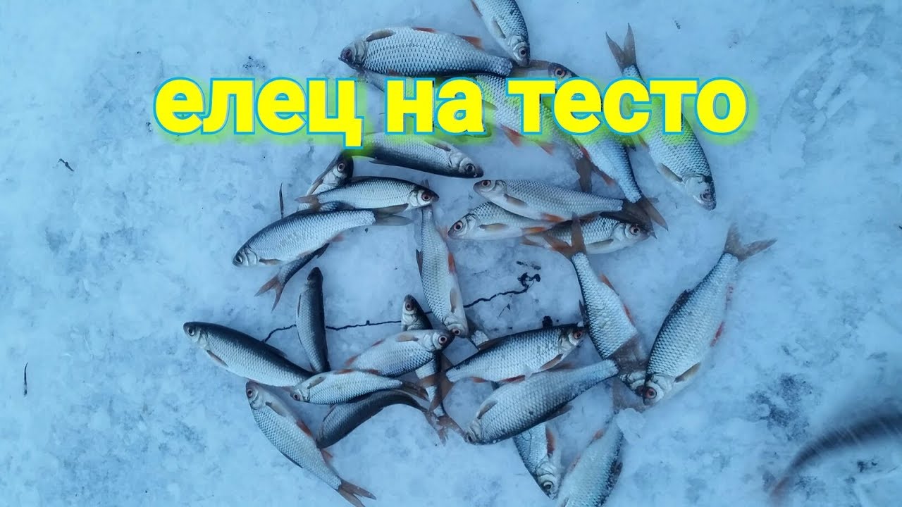 Зимняя рыбалка: советы опытных рыбаков