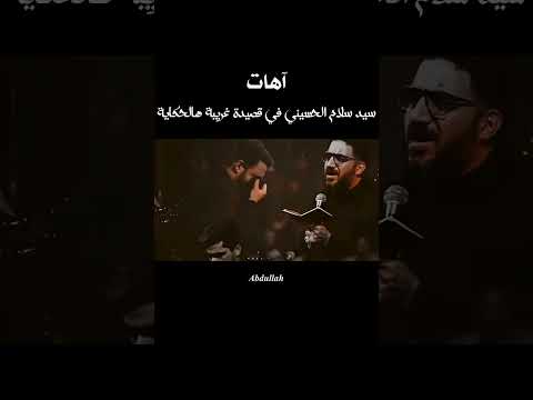 آهات غريبة هالحكاية سيد سلام الحسيني 🥀 #الامام_الحسين #اللهم_صل_على_محمد_وال_محمد