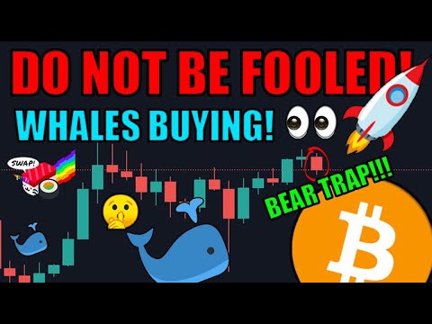 DO NOT BE FOOLED: This Pullback Is A BEAR TRAP! Whales Are Buying Bitcoin LIKE CRAZY! Crypto News