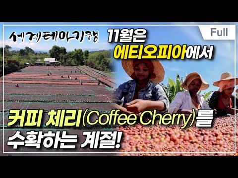 [Full] 세계테마기행 - 나는 전설이다,에티오피아- 풍요의 전설, 아르바민치