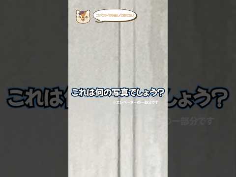 《エレベーターにズーム🔍》これなんだ?#shorts #shortvideo