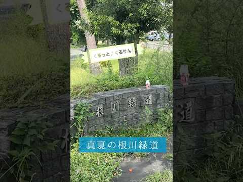くるっと♪くるりん#13